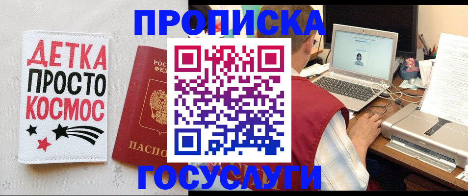 прописка гарантия в Камышине